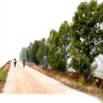 Spain Portugal Travel Guide Kindle Edition by Amazon 229 Pages-0