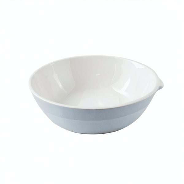 Porcelain Ceramic Evaporating Dish with Spout, 100ml Capacity, OD 90mm, Pack of 10-0